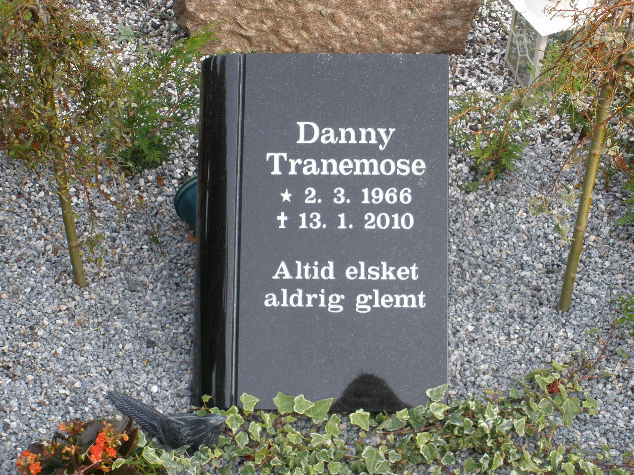 Danny Tranemose.JPG